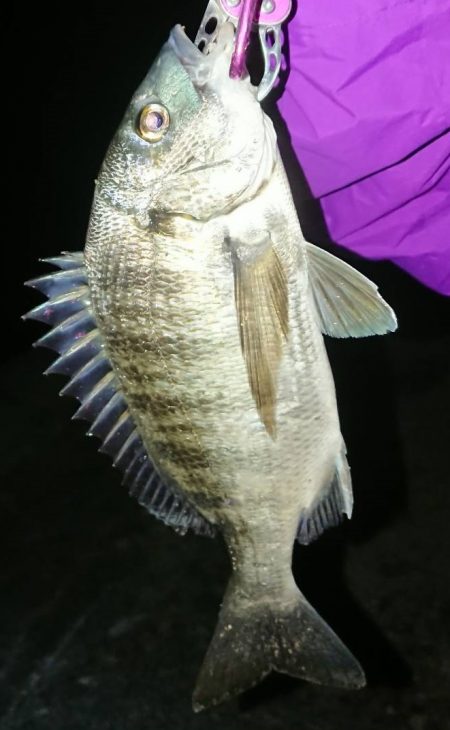 何か釣れるといいなぁって感じで4種目